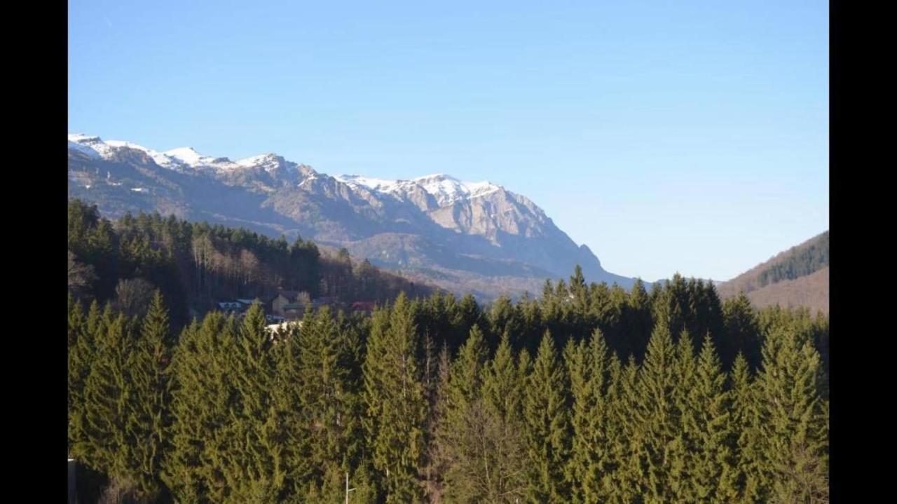 Mountain Residence Sinaia Eksteriør bilde